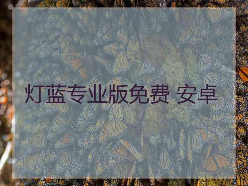 灯蓝专业版免费 安卓 灯蓝专业版免费 安卓