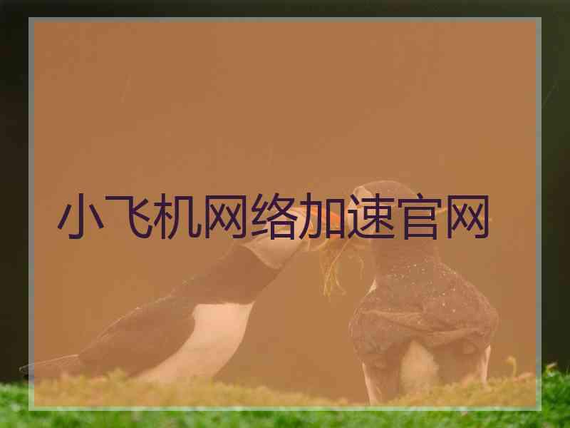 小飞机网络加速官网 小飞机网络加速官网