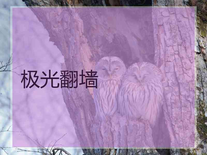 极光翻墙 极光翻墙
