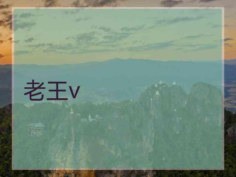 老王v 老王v