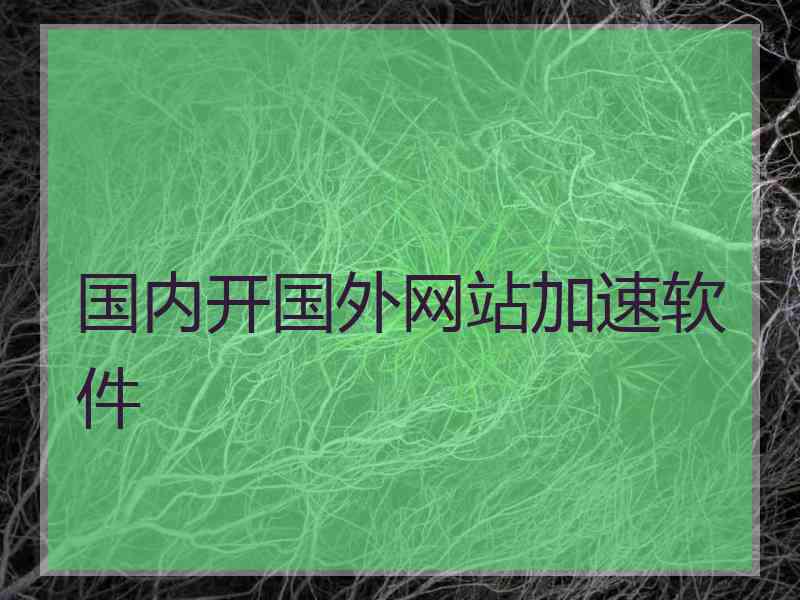 国内开国外网站加速软件 国内开国外网站加速软件