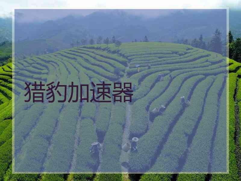 猎豹加速器 猎豹加速器
